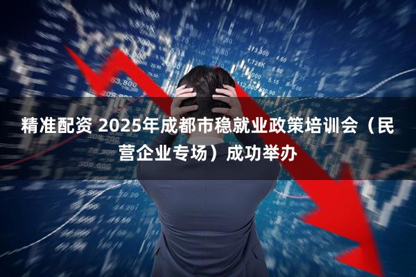 精准配资 2025年成都市稳就业政策培训会（民营企业专场）成功举办