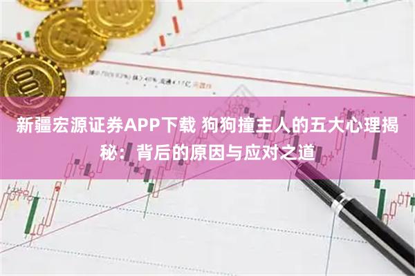 新疆宏源证券APP下载 狗狗撞主人的五大心理揭秘：背后的原因与应对之道