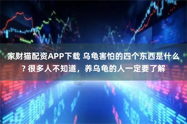 家财猫配资APP下载 乌龟害怕的四个东西是什么? 很多人不知道，养乌龟的人一定要了解