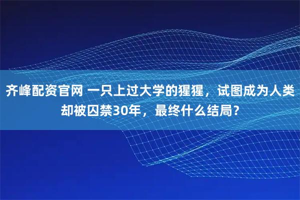 齐峰配资官网 一只上过大学的猩猩,试图成为人类却被囚禁30年,最终什么结局?