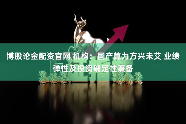 博股论金配资官网 机构：国产算力方兴未艾 业绩弹性及投资确定性兼备