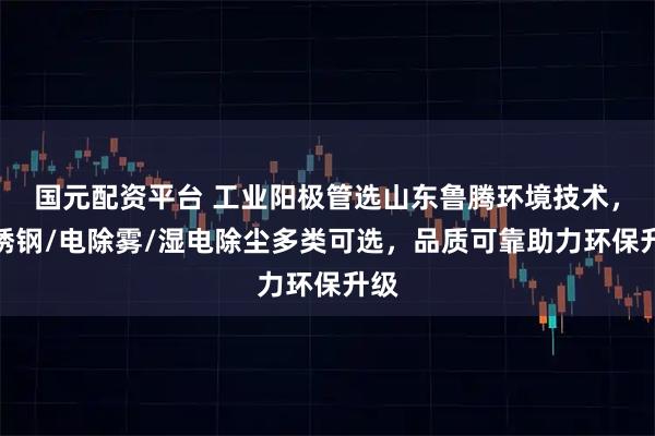 国元配资平台 工业阳极管选山东鲁腾环境技术，不锈钢/电除雾/湿电除尘多类可选，品质可靠助力环保升级